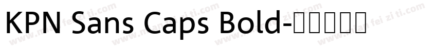 KPN Sans Caps Bold字体转换
